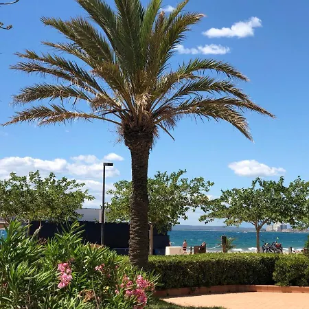 Playa De - Apartamento En La Playa De Y Cerca Del Centro Roses